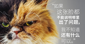 猫咪得了猫瘟，医生建议安乐死，它的反应震惊了