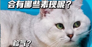 猫咪吃了瓜子壳干呕怎么办？